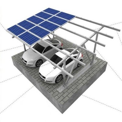 CARPOSUS ascendens ratio